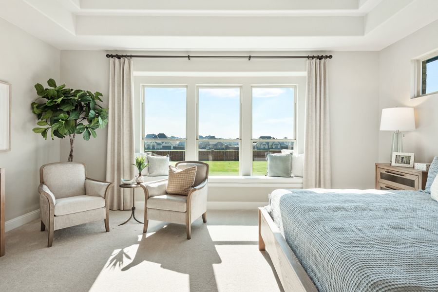 Bedroom with tray ceiling, large windows with outdoor view, seating area, and neutral carpet