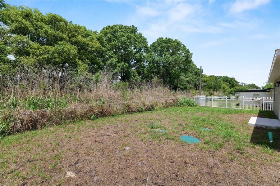 Natural landscape and outdoor views near in Lakeland (Image 28). Natural landscape and outdoor views near in Lakeland (Image 28).