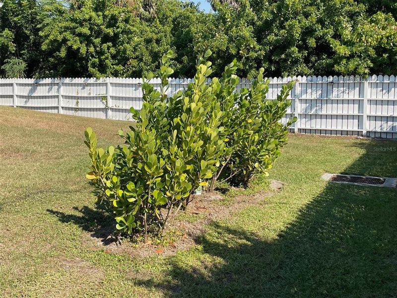 Natural landscape and outdoor views near in Port Charlotte (Image 51). Natural landscape and outdoor views near in Port Charlotte (Image 51).