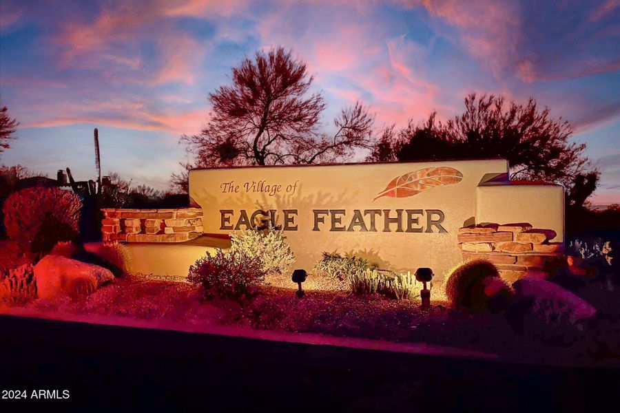 Eagle Feather 383!