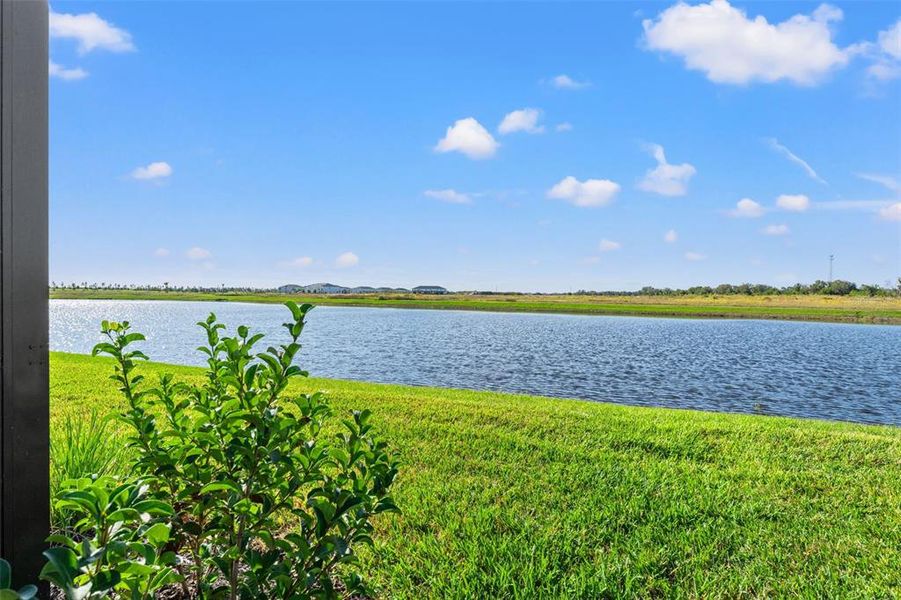 Natural landscape and outdoor views near Palm Grove in Lakewood Ranch (Image 33). Natural landscape and outdoor views near Palm Grove in Lakewood Ranch (Image 33).
