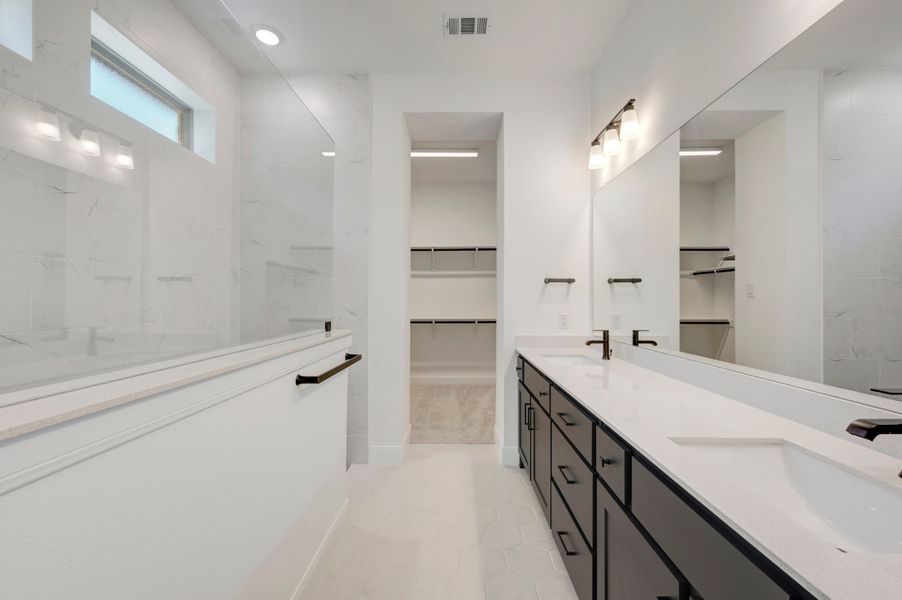 Owner's Bath