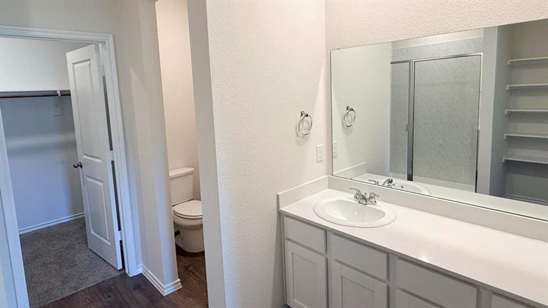 Bathroom featuring dark wood-style flooring, a textured wall, vanity, a stall shower, and a spacious closet Bathroom featuring dark wood-style flooring, a textured wall, vanity, a stall shower, and a spacious closet
