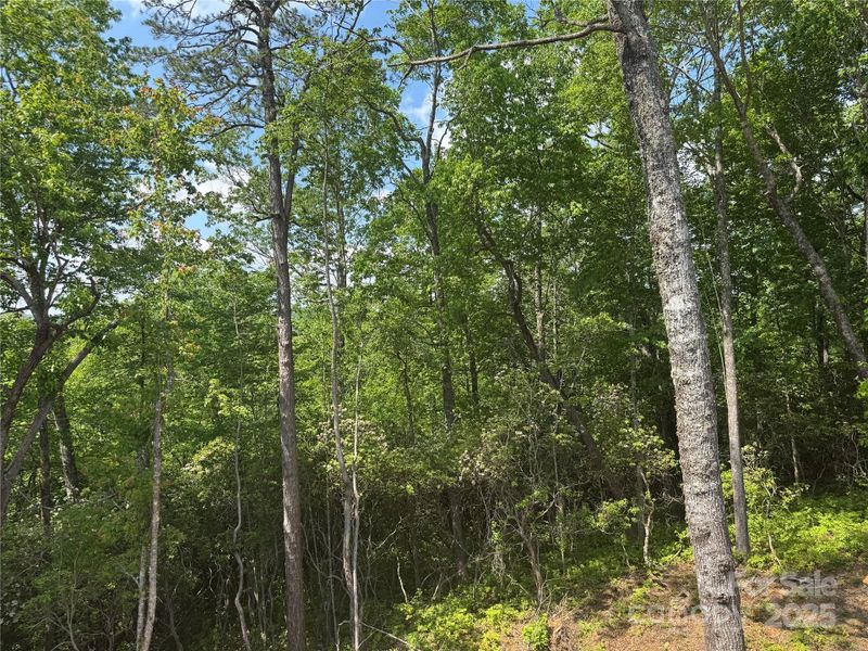 Image 20 of a home in . Image 20 of a home in .