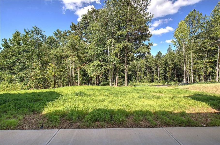 Natural landscape and outdoor views near  in Dallas (Image 29).