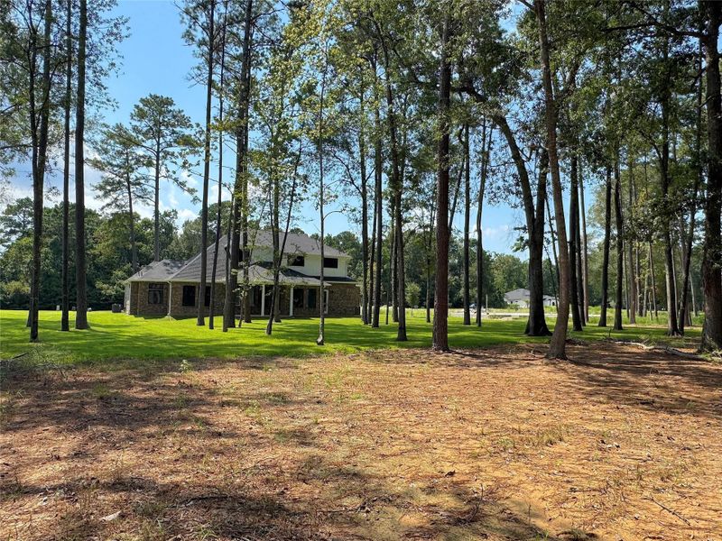 Back right corner of property Back right corner of property