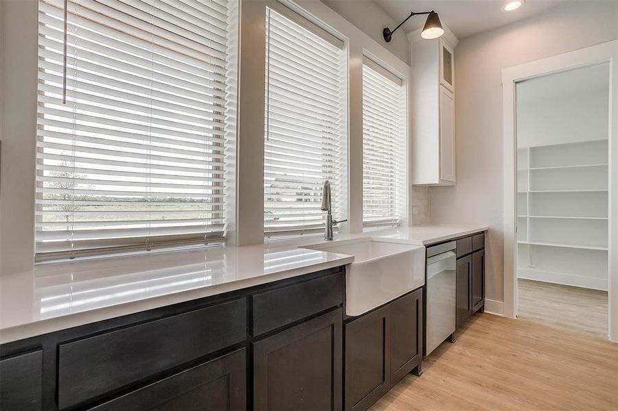 Kitchen featuring white cabinetry, light wood-type flooring, stainless steel dishwasher, dark brown cabinetry, and sink