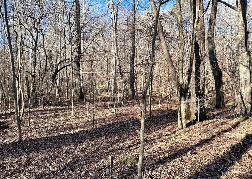 Natural landscape and outdoor views near  in Cumming (Image 4).
