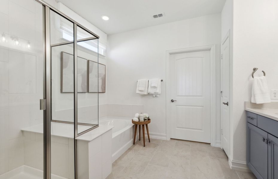 Owner's bath with large shower and tub