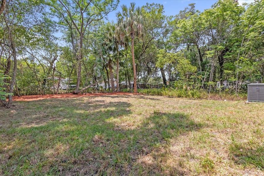 Natural landscape and outdoor views near  in Deland (Image 26).