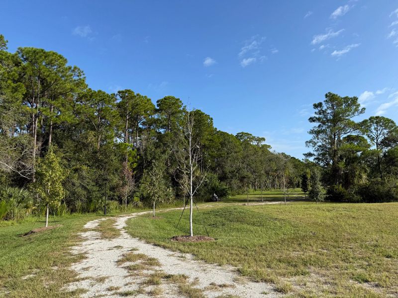 Community walking trail