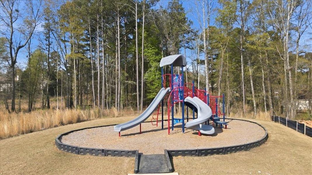 Community amenities in , McDonough (Image 32).