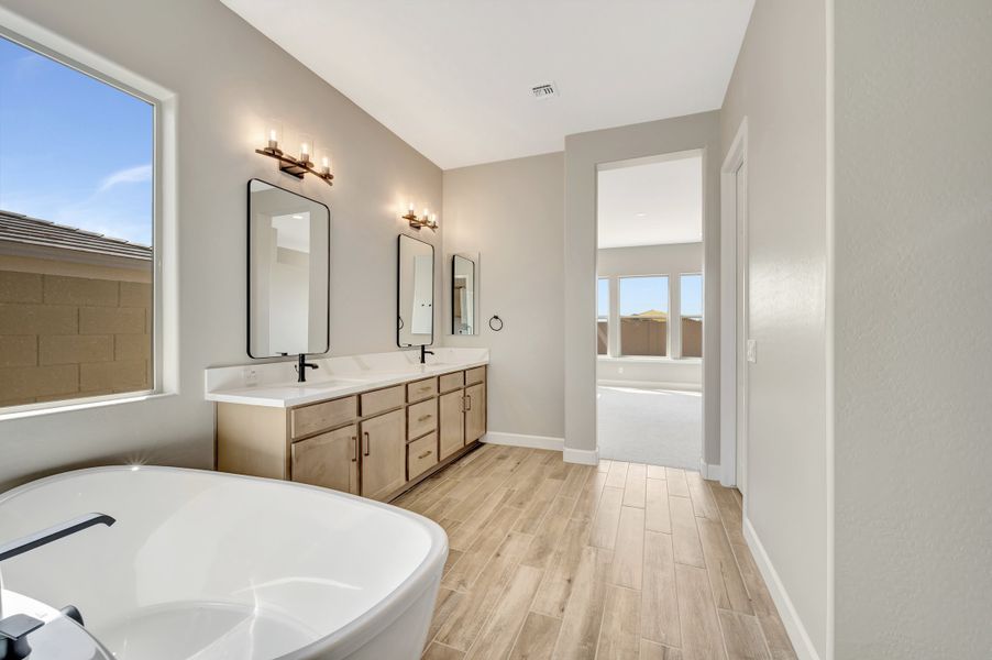Owner's Bath