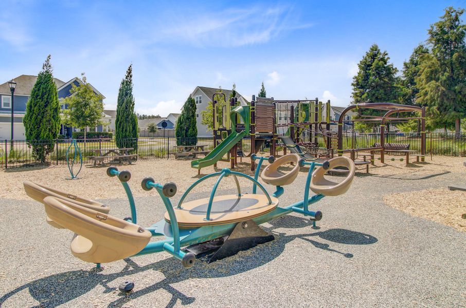 Community amenities in Sweetgrass at Summers Corner, Summerville (Image 49).