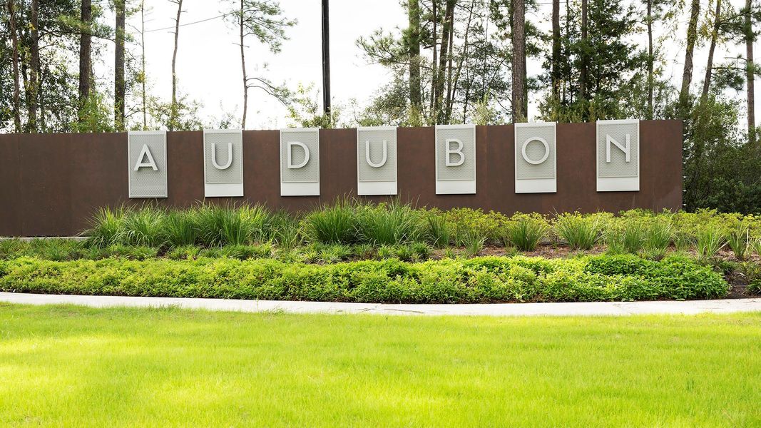 Image 6 of a home in Audubon Park 45'.