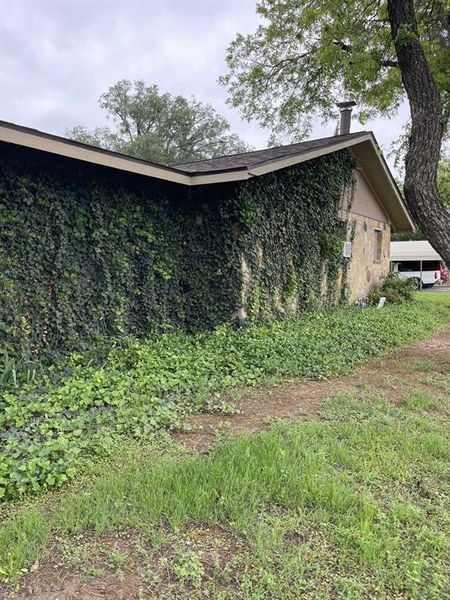 Natural landscape and outdoor views near  in Bangs (Image 21).
