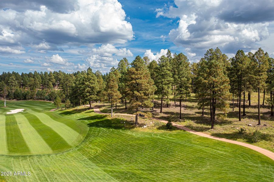 Overall GT Enclave Subdivision10