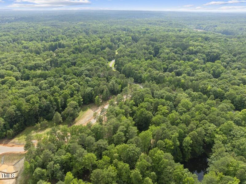 DJI_20250617163142_0125_D (Medium)