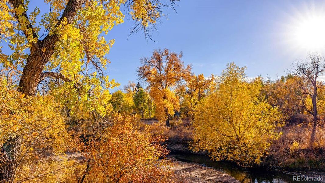 Image 29 of a home in Arcadia. Image 29 of a home in Arcadia.