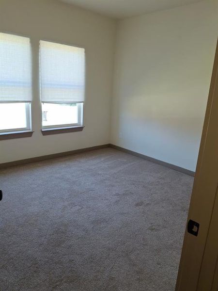 Carpeted empty room with baseboards Carpeted empty room with baseboards