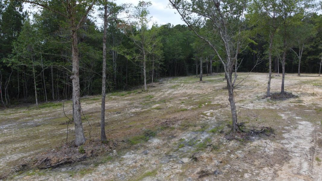 Natural landscape and outdoor views near in Huger (Image 16). Natural landscape and outdoor views near in Huger (Image 16).