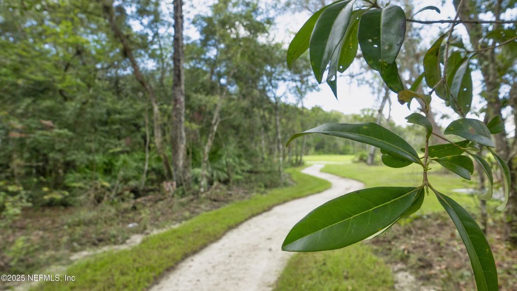 Natural landscape and outdoor views near Trailmark in St. Augustine (Image 48).