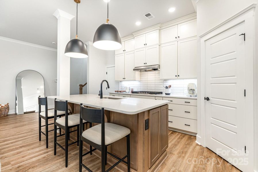 Pantry Closet and tons of storage.