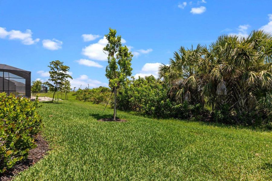 52-web-or-mls-941A6561