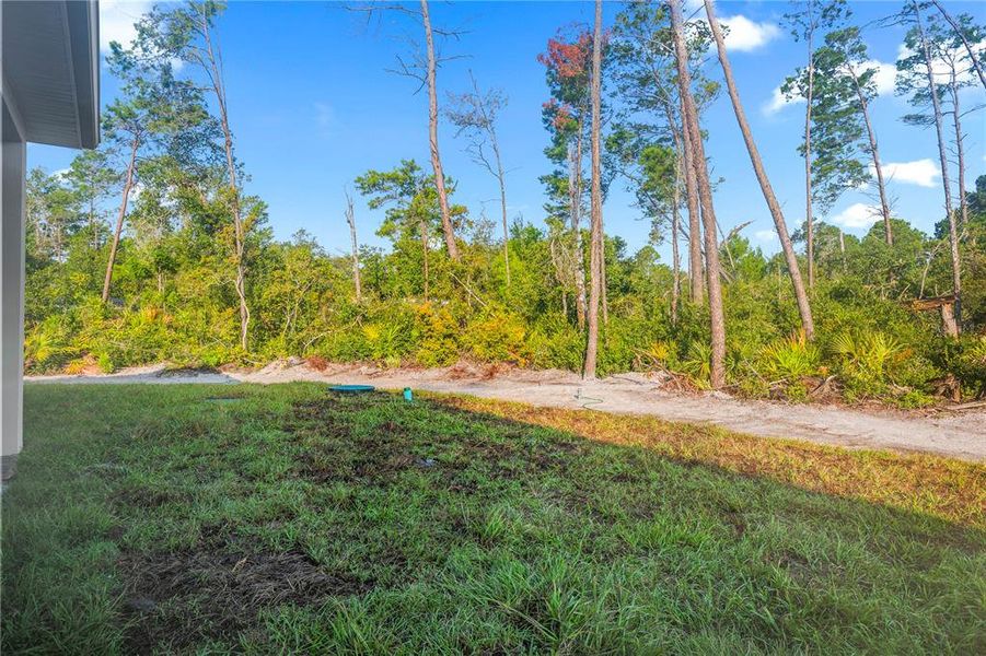 Natural landscape and outdoor views near in Eustis (Image 44). Natural landscape and outdoor views near in Eustis (Image 44).