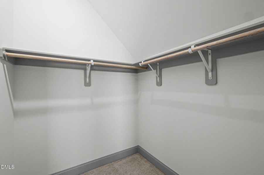 48-web-or-mls-P1099755