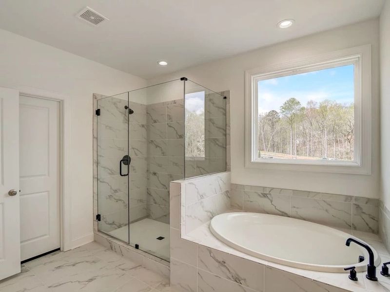 Sample Photo: Primary Bathroom Walk-In Shower