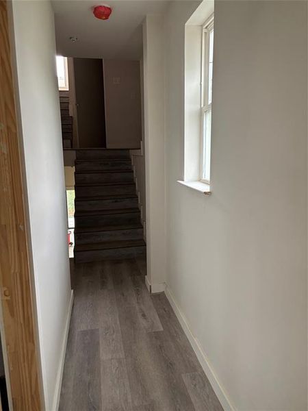 Spacious, unfurnished interior of a new home in , Dallas (Image 14).