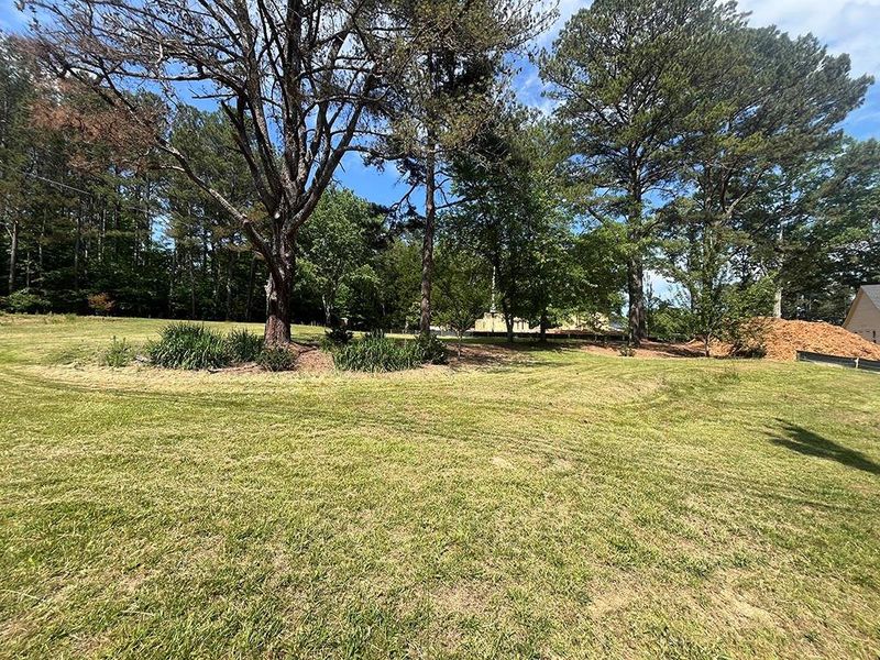 Natural landscape and outdoor views near  in Ball Ground (Image 64).