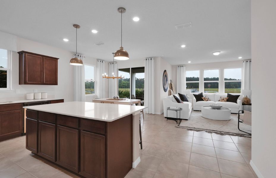 Furnished interior view inside a new home in Double Branch, Middleburg (Image 10).