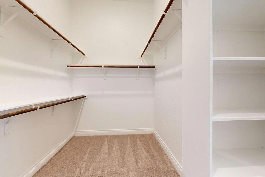 Spacious walk-in closet featuring white walls, light brown carpet, and ample storage with shelving and hanging rods