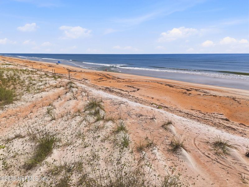 Natural landscape and outdoor views near  in Ponte Vedra Beach (Image 27).
