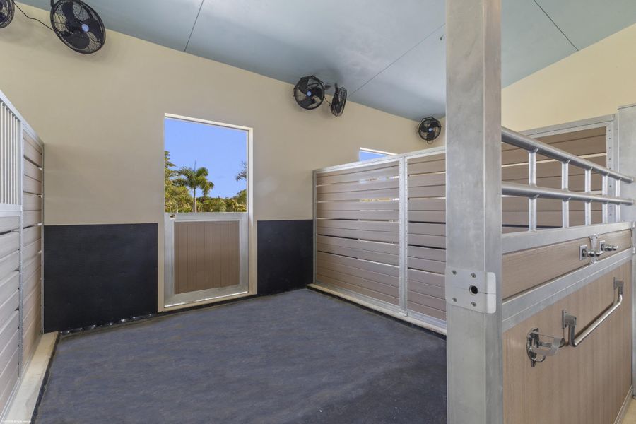 Stalls with Dutch Doors that open to walk out paddocks