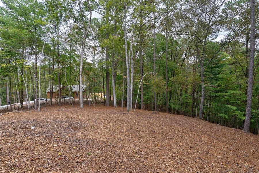 Natural landscape and outdoor views near  in Ellijay (Image 49).