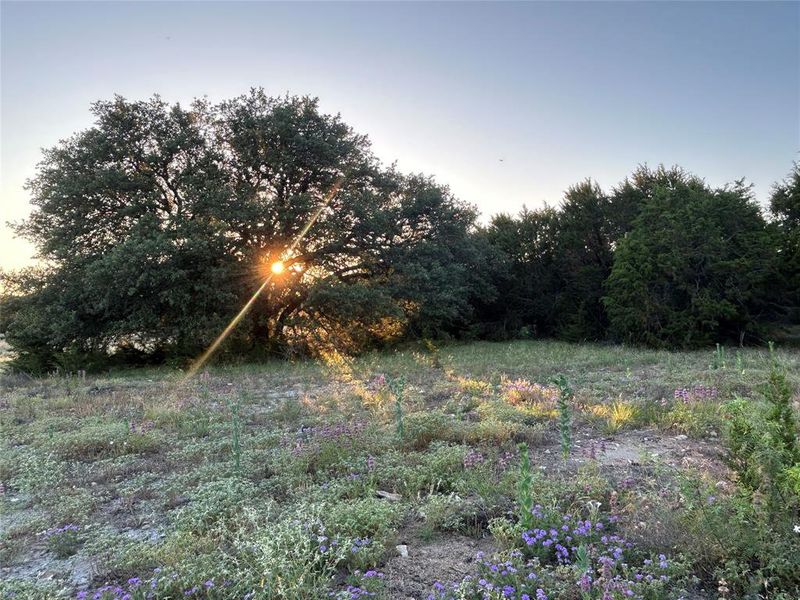 Natural landscape and outdoor views near  in Goldthwaite (Image 14).