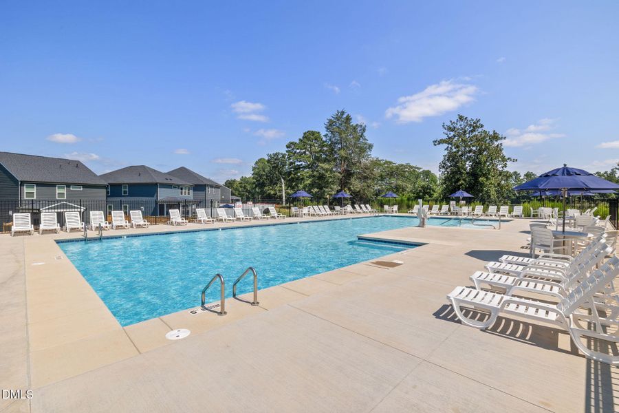 3-web-or-mls-DX3A1434