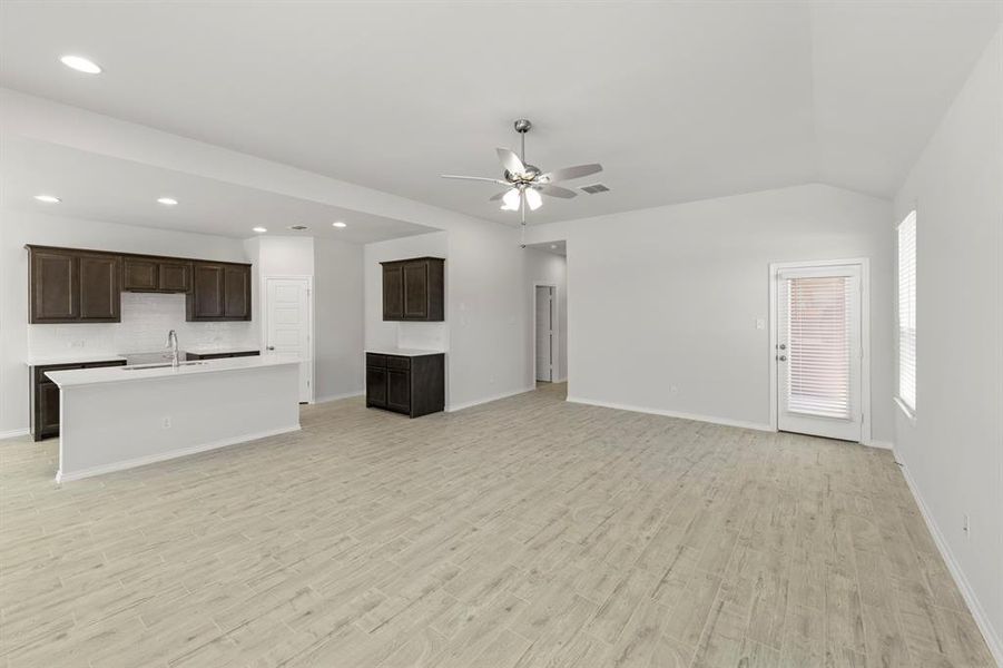 14. 3732 Honey Daisy - Family (3)