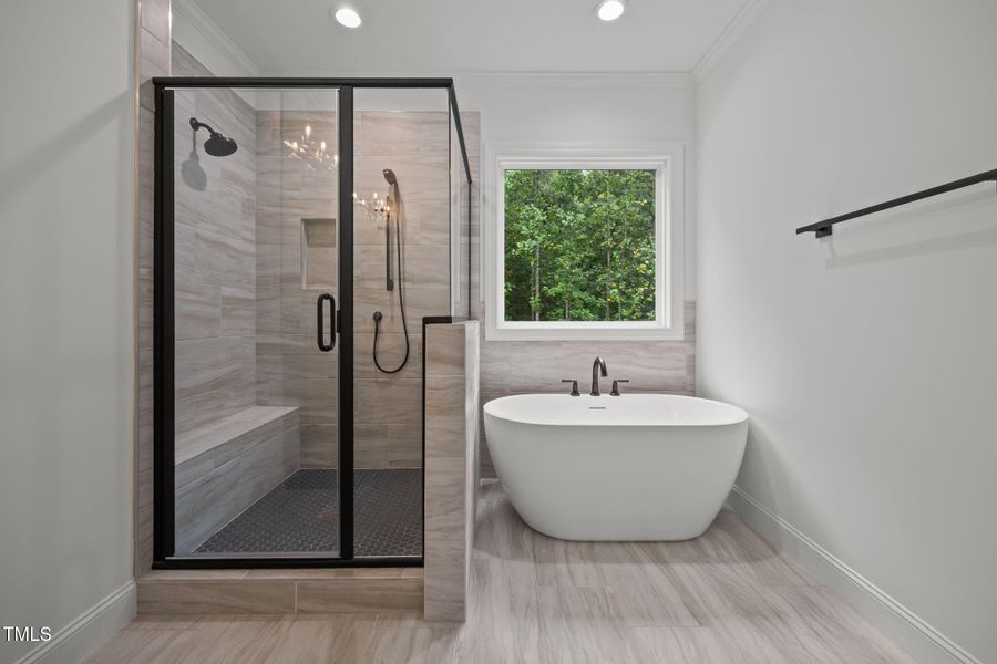 51-web-or-mls-IMG_8018