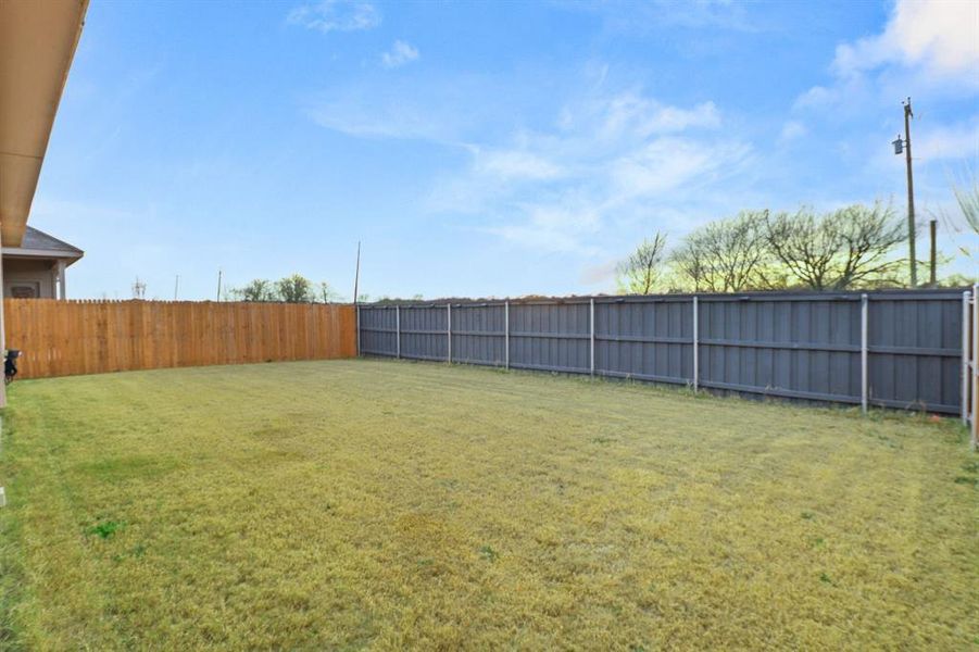 View of fenced backyard