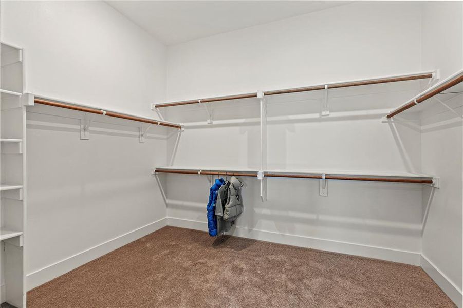 Walk in closet with carpet flooring