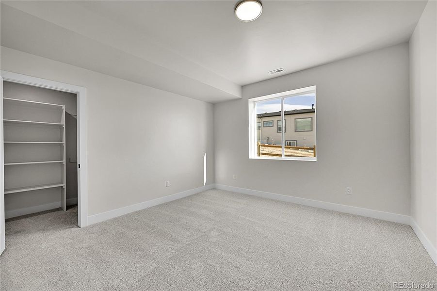 Lower level bedroom