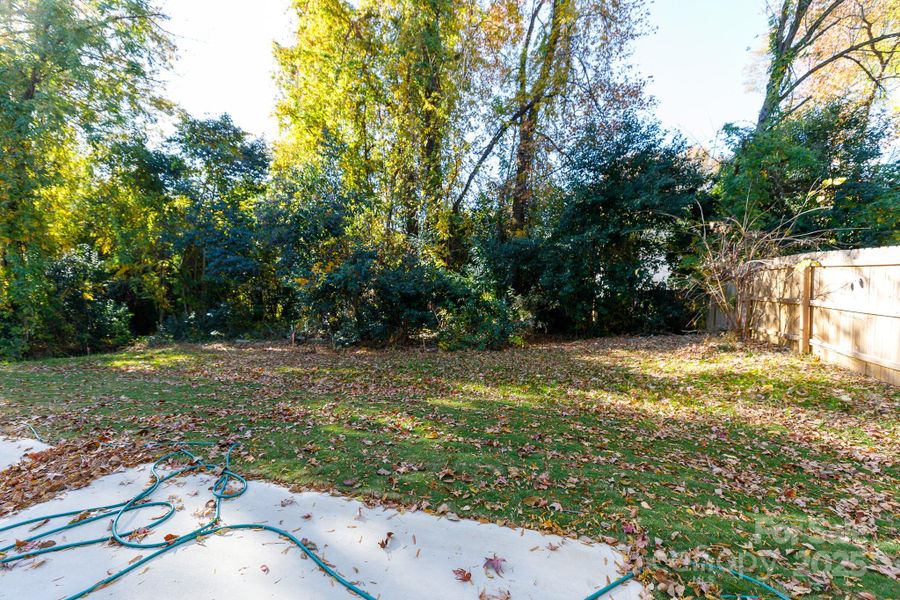 Natural landscape and outdoor views near  in Charlotte (Image 21).