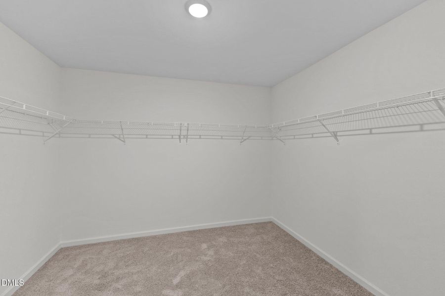 24-web-or-mls-IMG_3168