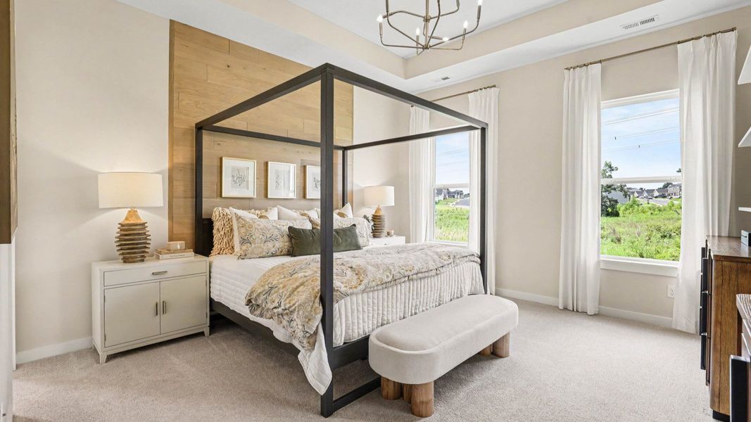 Primary suite with accent wall, carpet, and windows