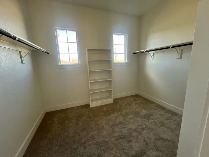 Walk in closet featuring dark carpet