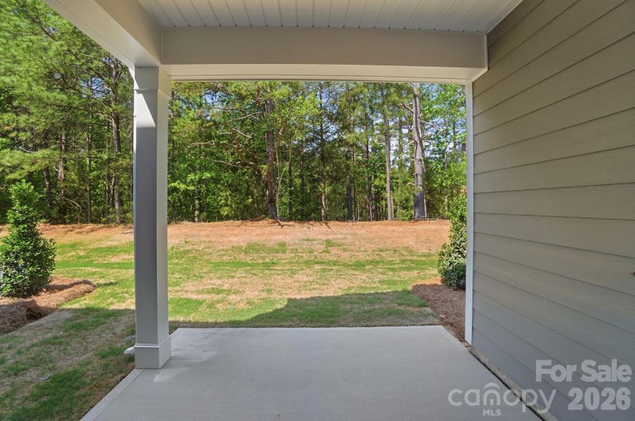 Exterior details and patio area of a home in Blythe Mill Townhomes, Waxhaw (Image 26).